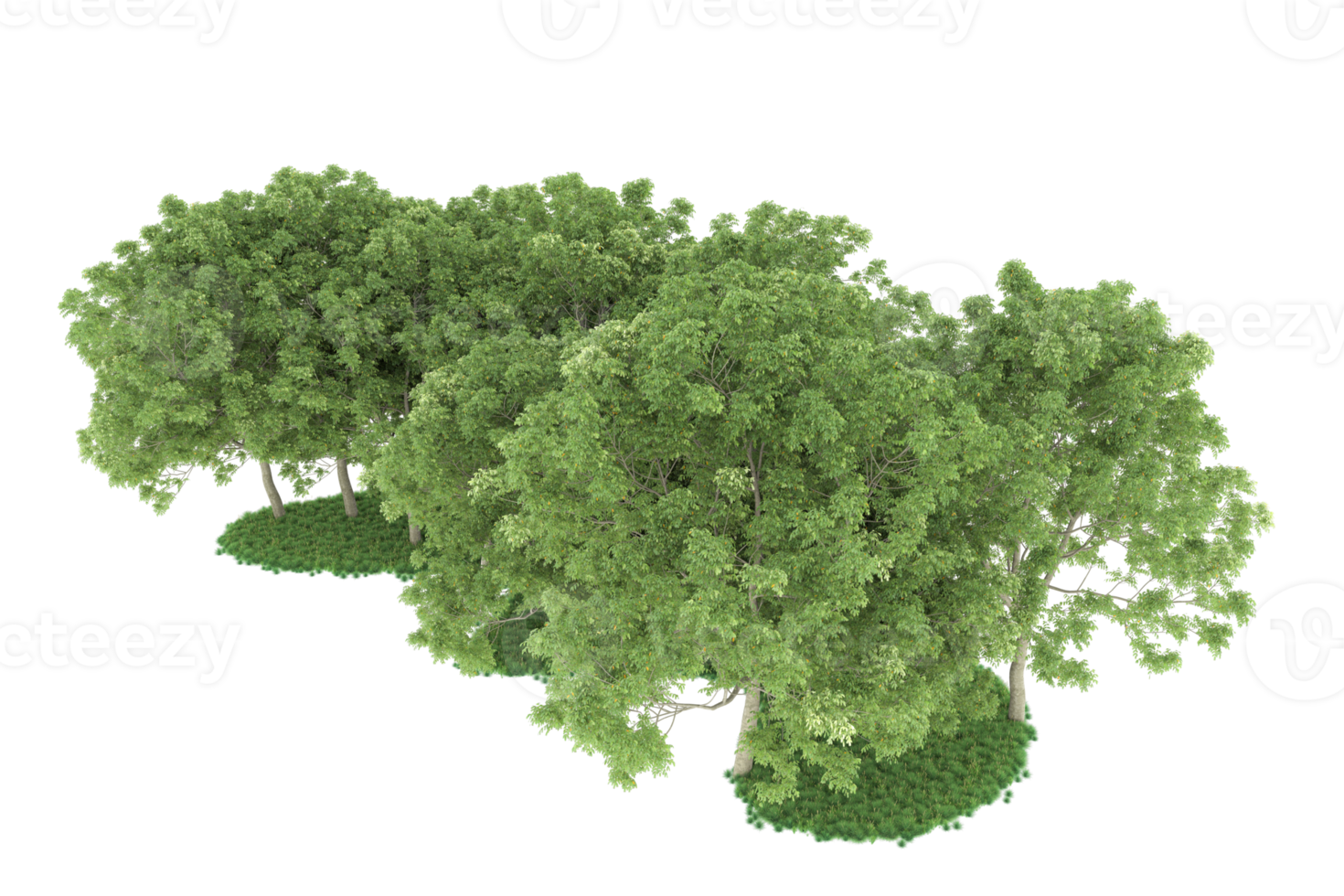 Realistic forest isolated on transparent background. 3d rendering - illustration png