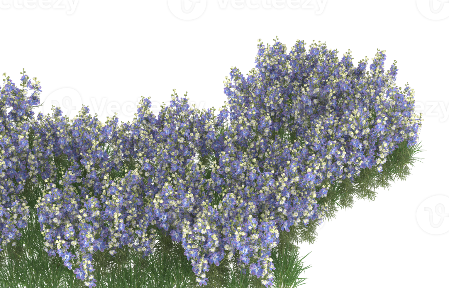 Realistic foliage isolated on transparent background. 3d rendering - illustration png