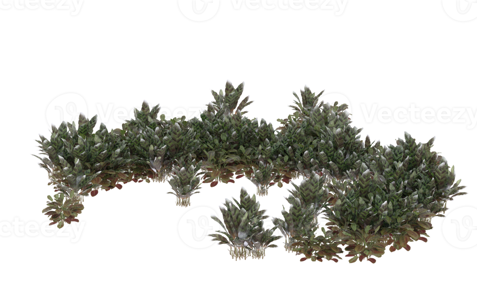 Realistic foliage isolated on transparent background. 3d rendering - illustration png