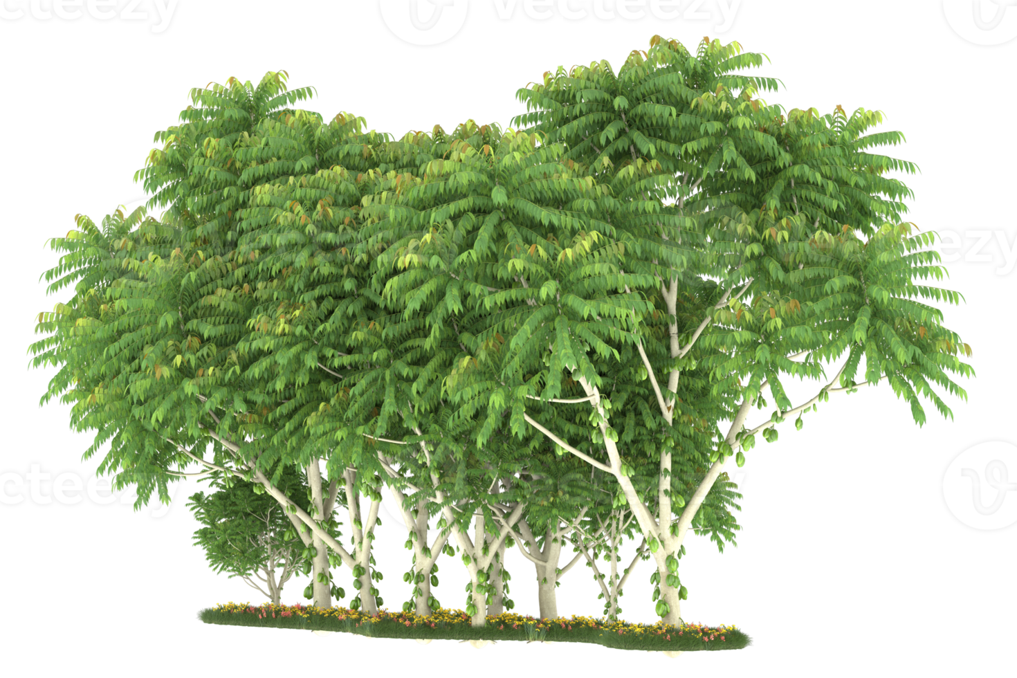 Realistic forest isolated on transparent background. 3d rendering - illustration png