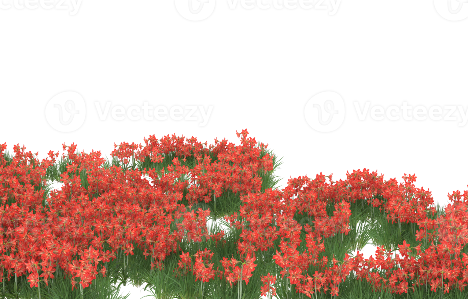 Realistic foliage isolated on transparent background. 3d rendering - illustration png