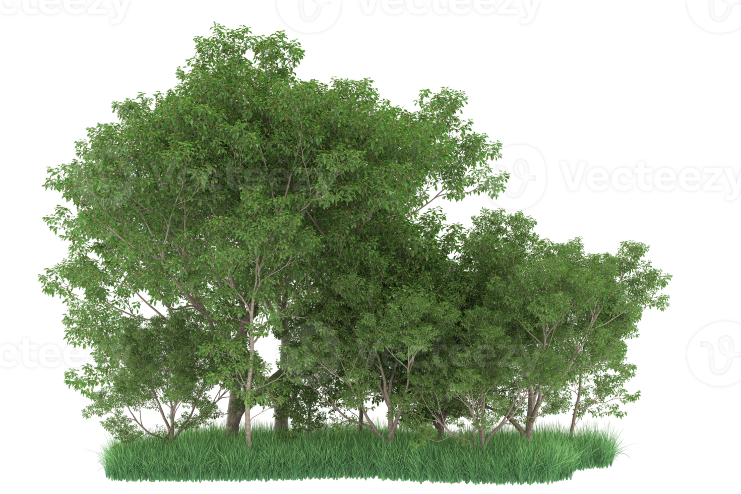 Realistic forest isolated on transparent background. 3d rendering - illustration png