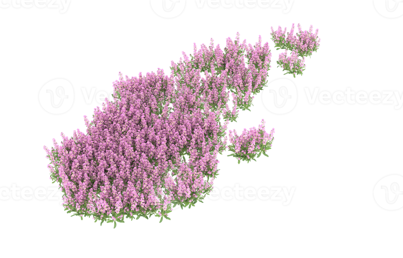Realistic foliage isolated on transparent background. 3d rendering - illustration png