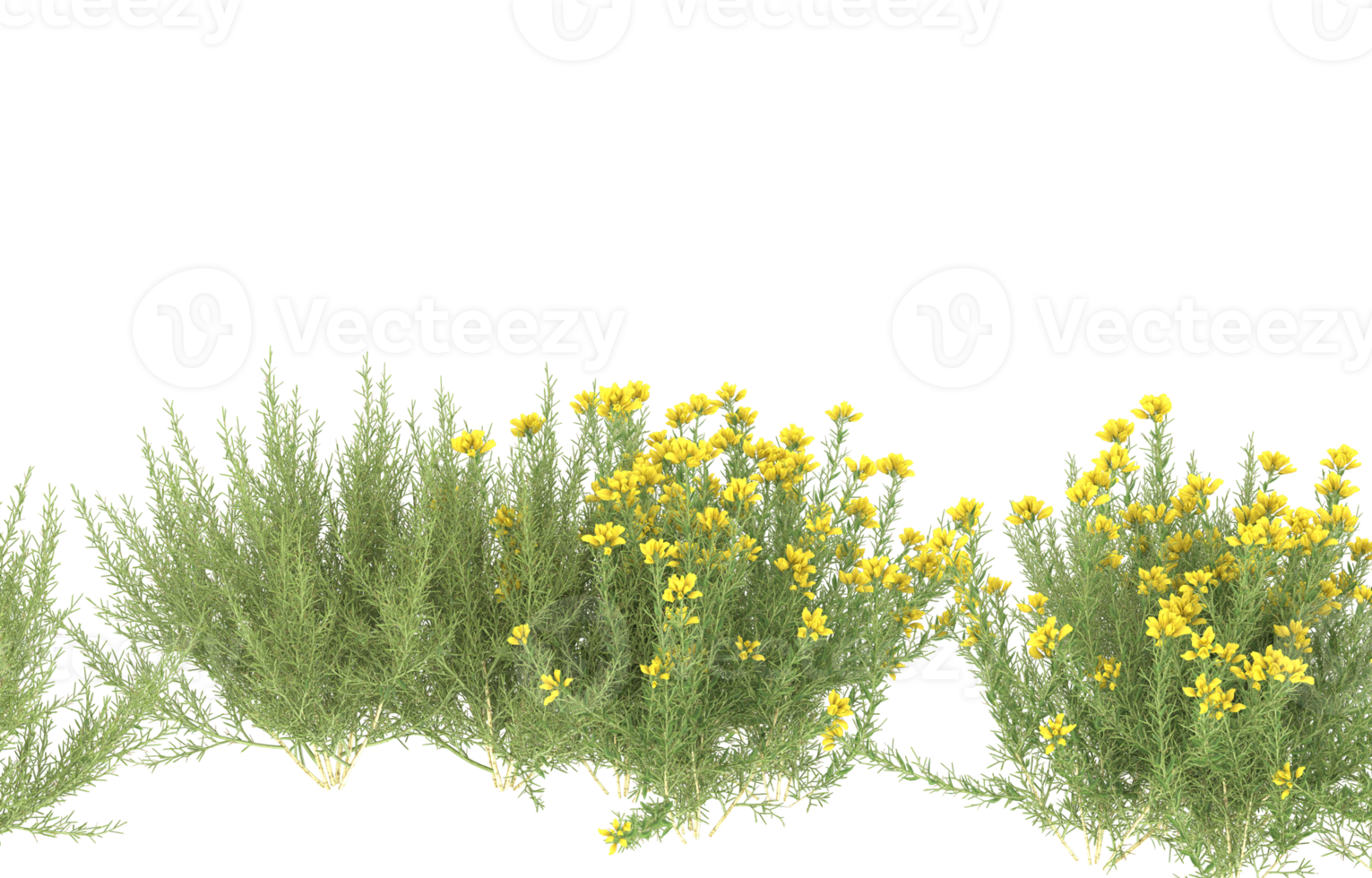 Realistic foliage isolated on transparent background. 3d rendering - illustration png