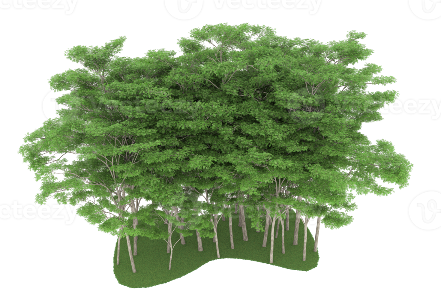 forêt réaliste isolée sur fond transparent. rendu 3d - illustration png