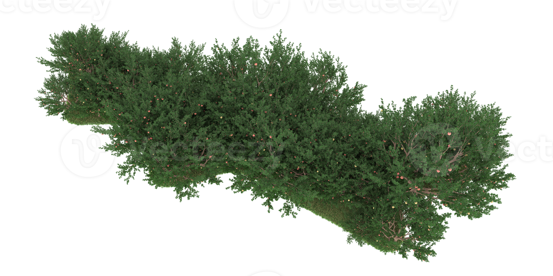 realistico foresta isolato su trasparente sfondo. 3d interpretazione - illustrazione png