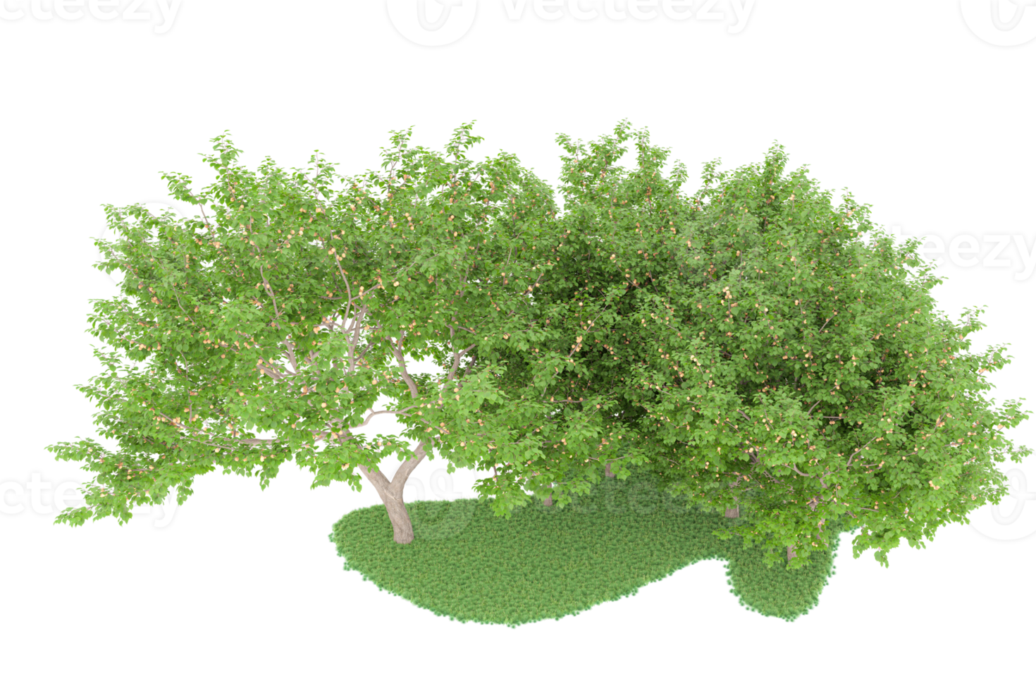 Realistic forest isolated on transparent background. 3d rendering - illustration png