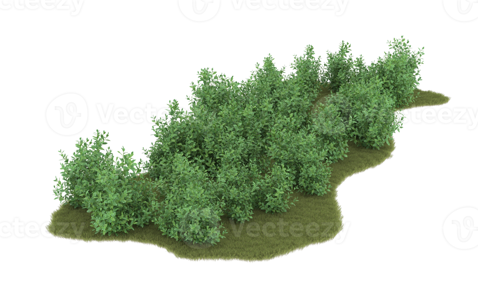 realistico fogliame isolato su trasparente sfondo. 3d interpretazione - illustrazione png