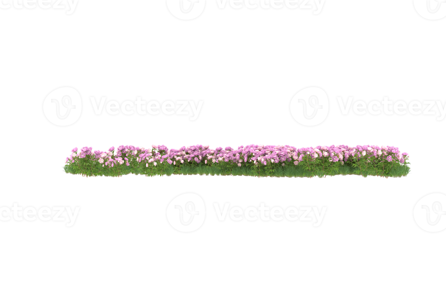 realistisk lövverk isolerat på transparent bakgrund. 3d tolkning - illustration png