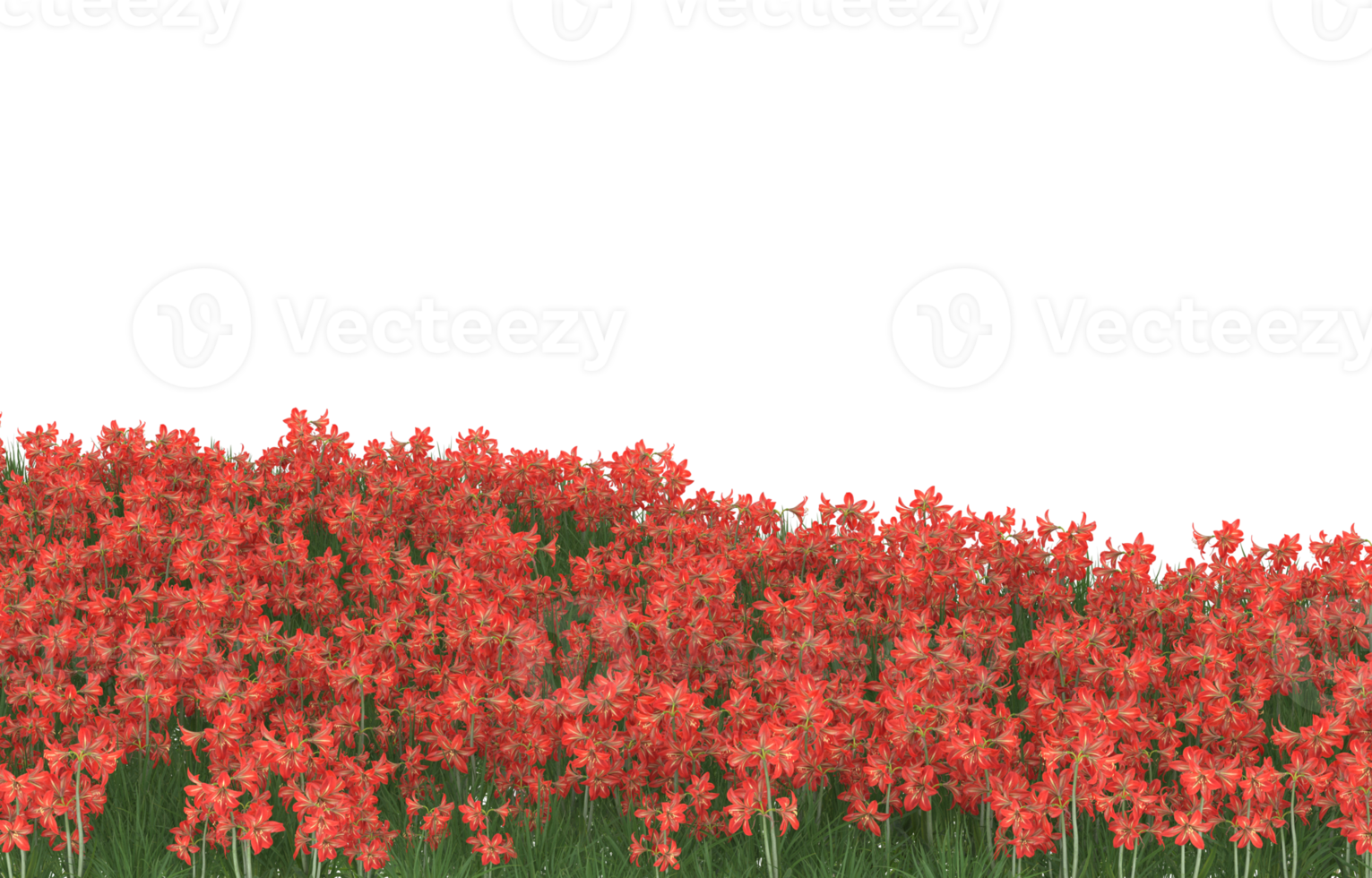 Realistic foliage isolated on transparent background. 3d rendering - illustration png