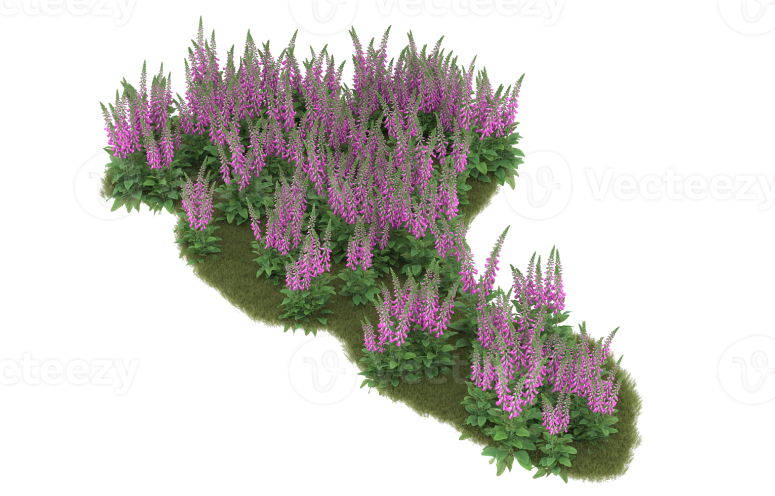 Realistic foliage isolated on transparent background. 3d rendering - illustration png