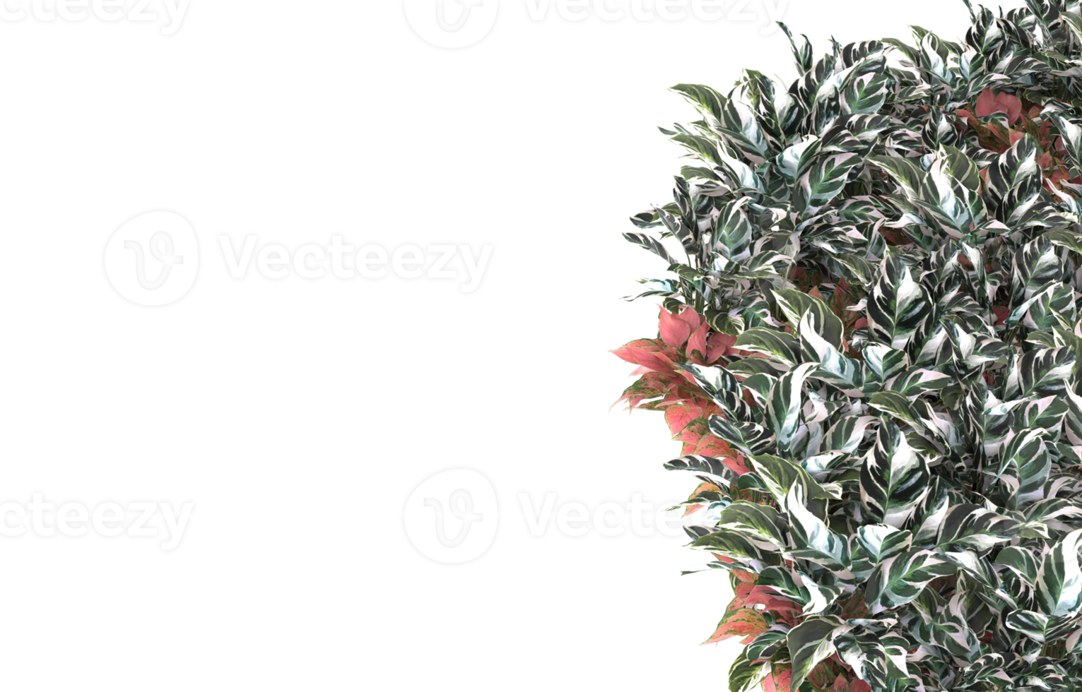 Realistic foliage isolated on transparent background. 3d rendering - illustration png