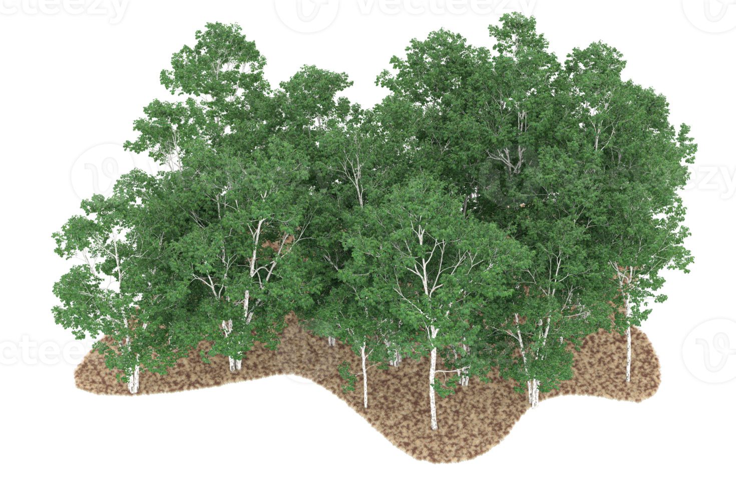 Realistic forest isolated on transparent background. 3d rendering - illustration png