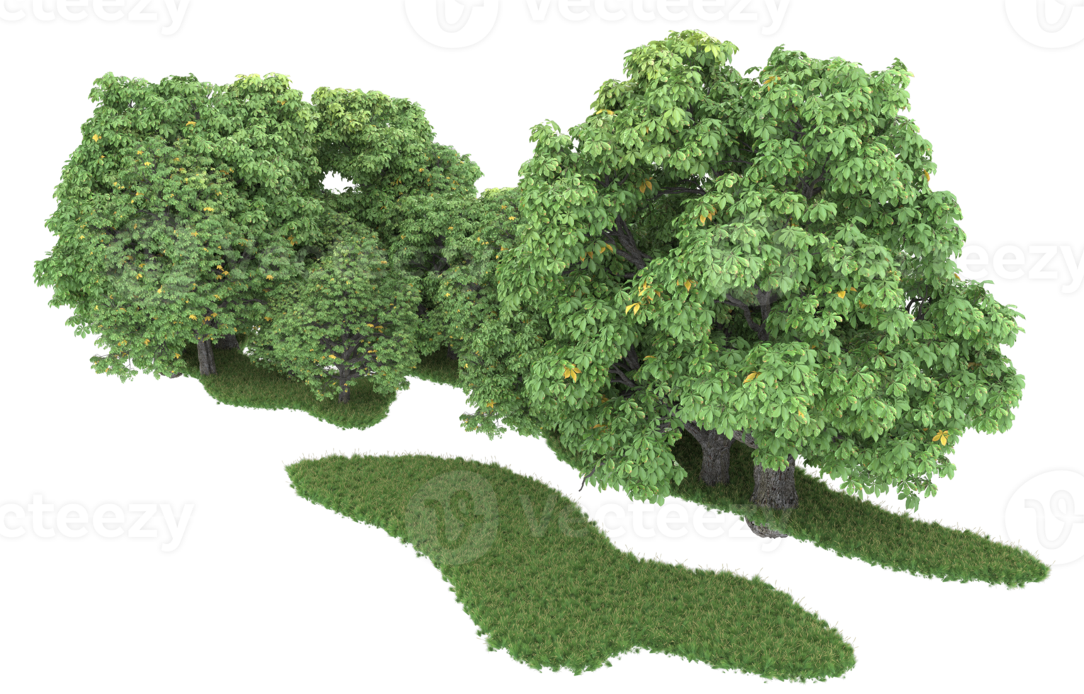 Realistic forest isolated on transparent background. 3d rendering - illustration png