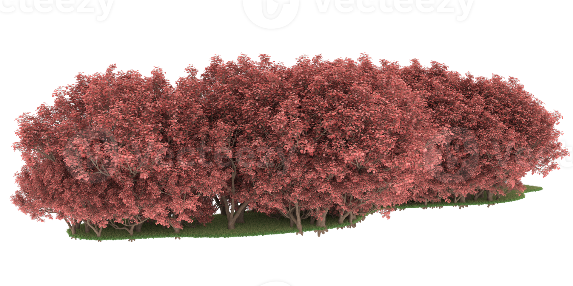 Realistic forest isolated on transparent background. 3d rendering - illustration png