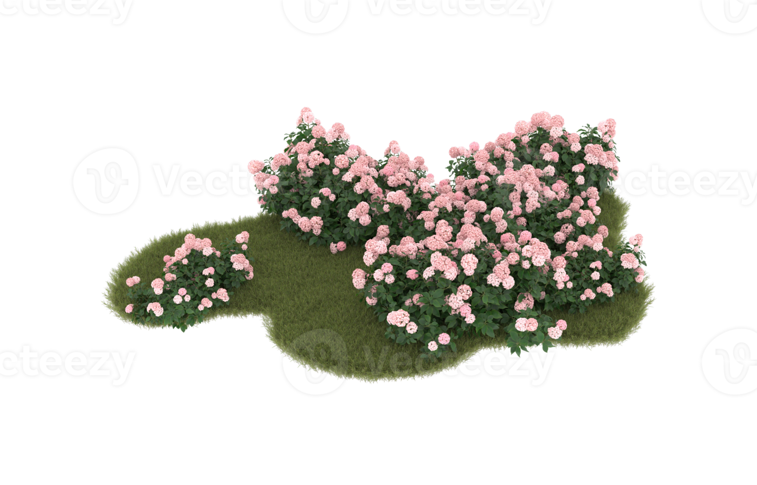 Realistic foliage isolated on transparent background. 3d rendering - illustration png