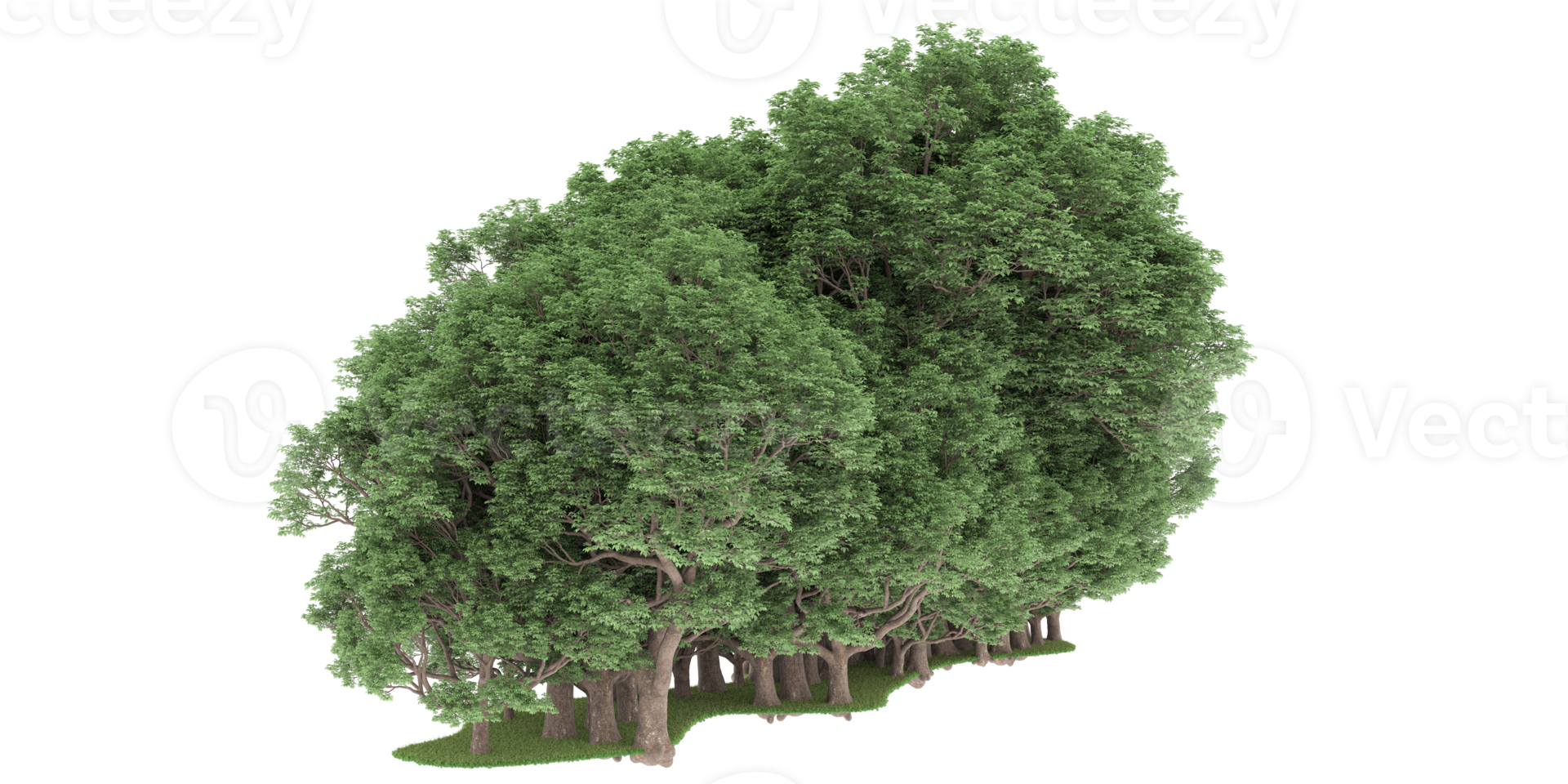 Realistic forest isolated on transparent background. 3d rendering - illustration png