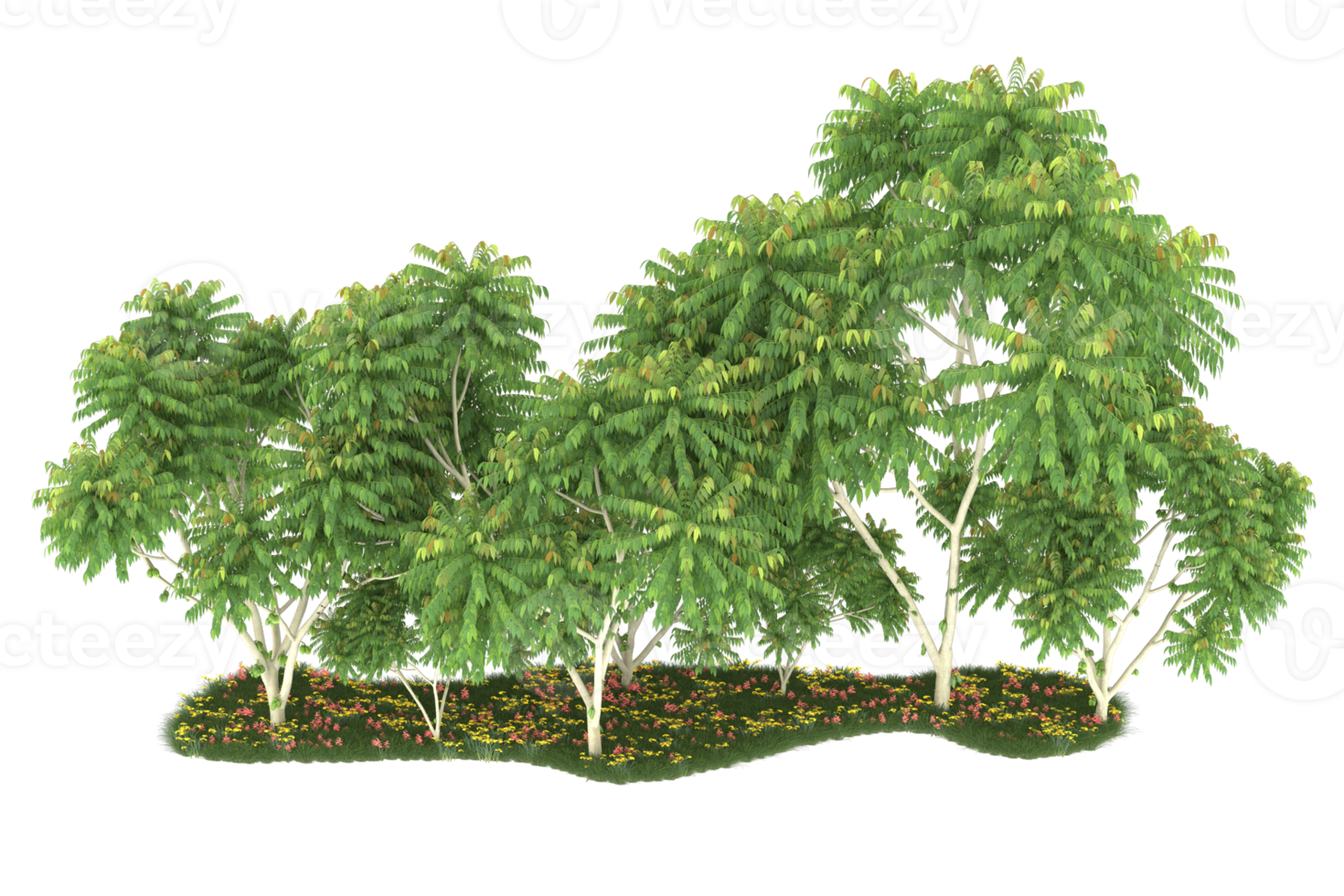 Realistic forest isolated on transparent background. 3d rendering - illustration png