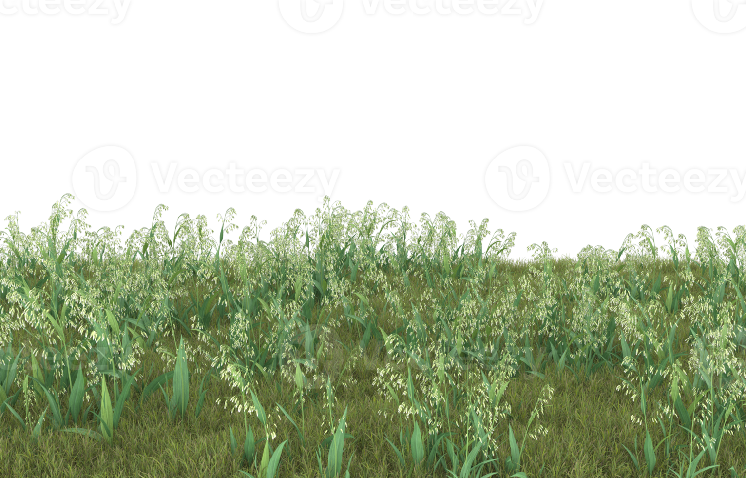 Realistic foliage isolated on transparent background. 3d rendering - illustration png