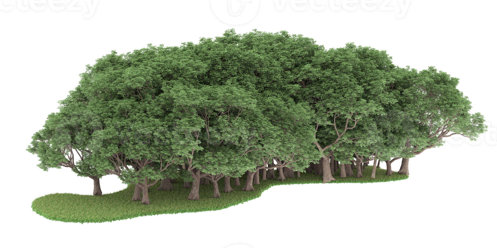 Realistic forest isolated on transparent background. 3d rendering - illustration png