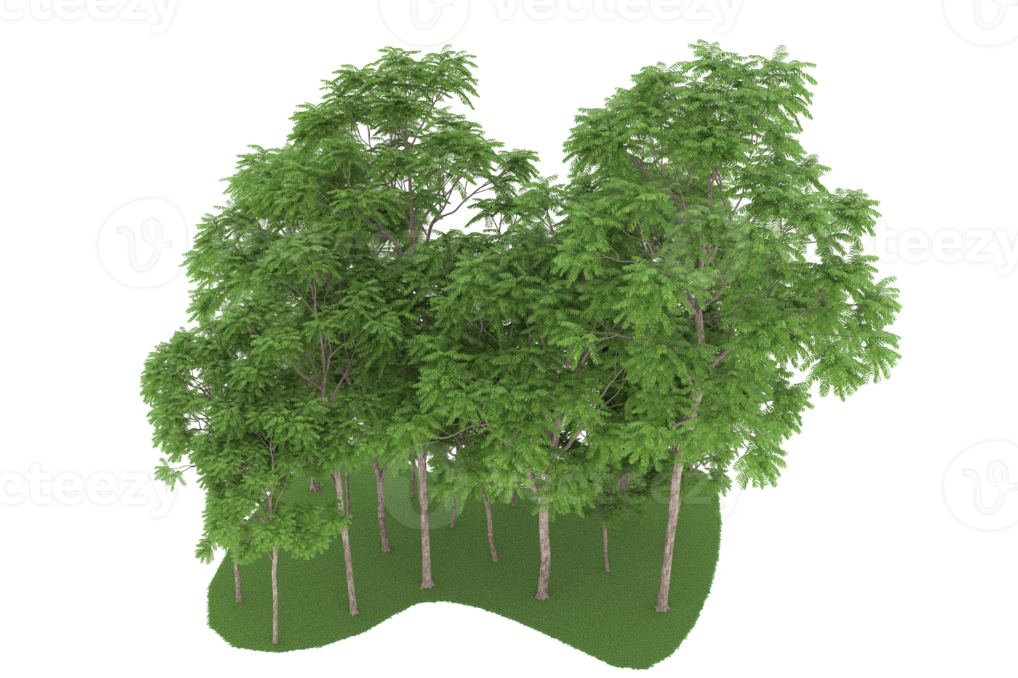 Realistic forest isolated on transparent background. 3d rendering - illustration png