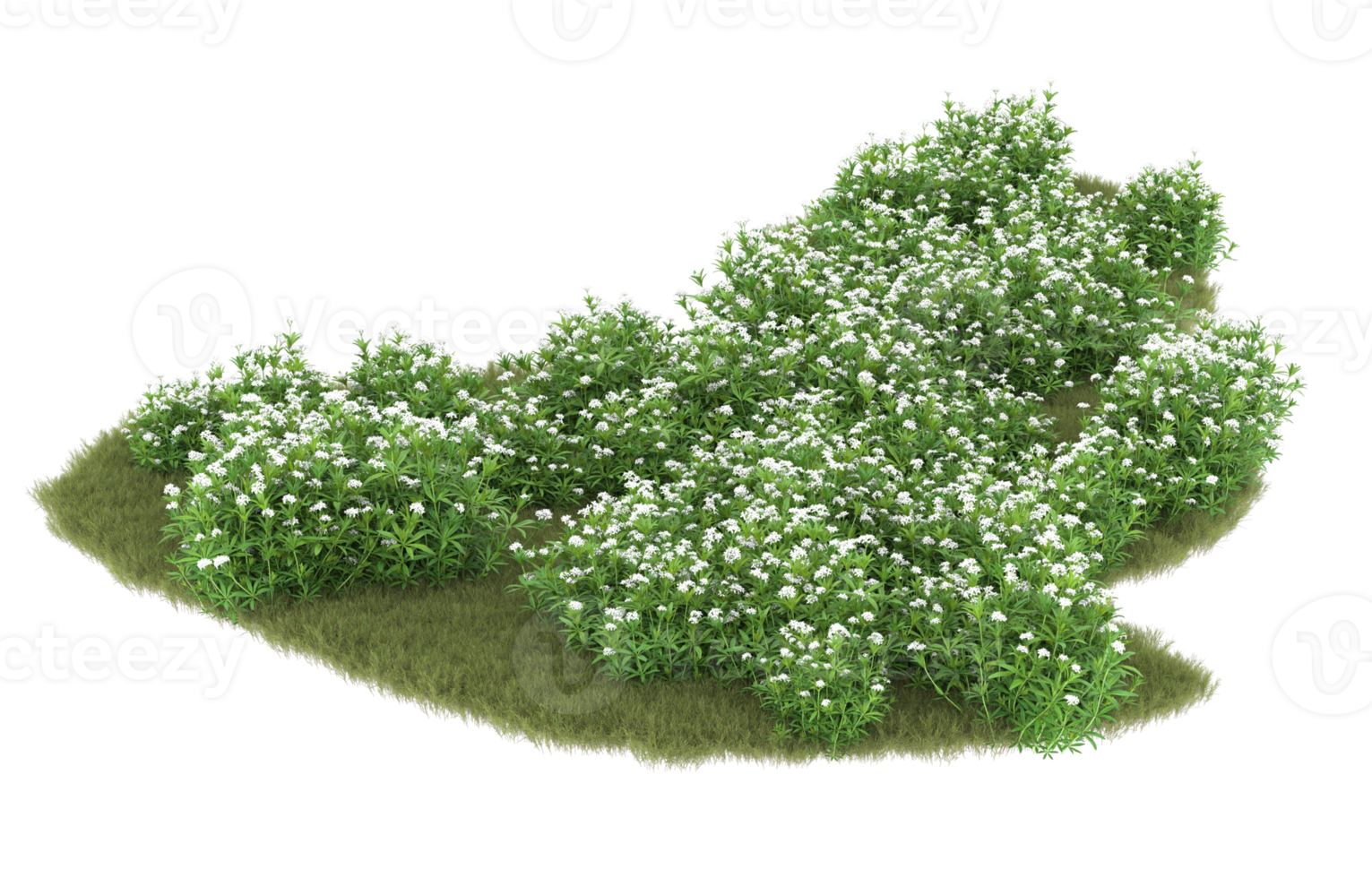 Realistic foliage isolated on transparent background. 3d rendering - illustration png