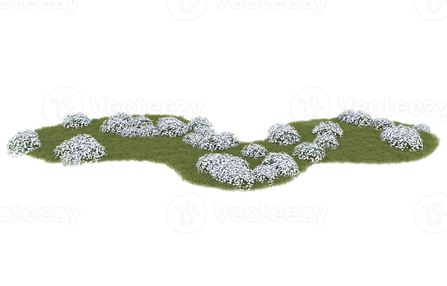 realistisk lövverk isolerat på transparent bakgrund. 3d tolkning - illustration png