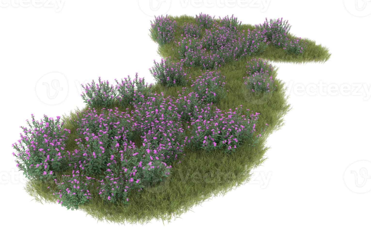 Realistic foliage isolated on transparent background. 3d rendering - illustration png