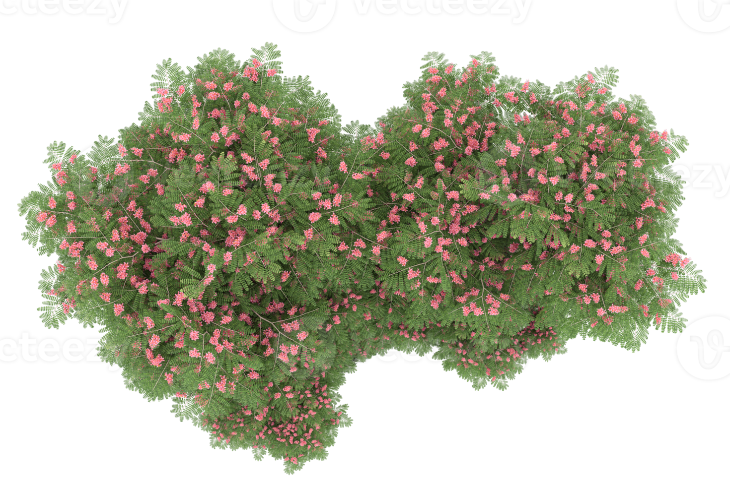 Realistic forest isolated on transparent background. 3d rendering - illustration png