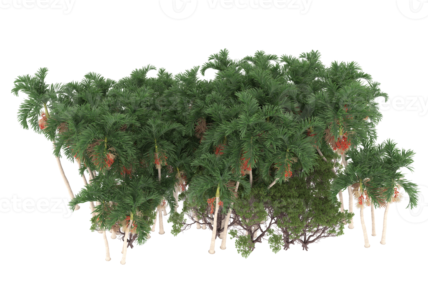 Palm trees isolated on transparent background. 3d rendering - illustration png