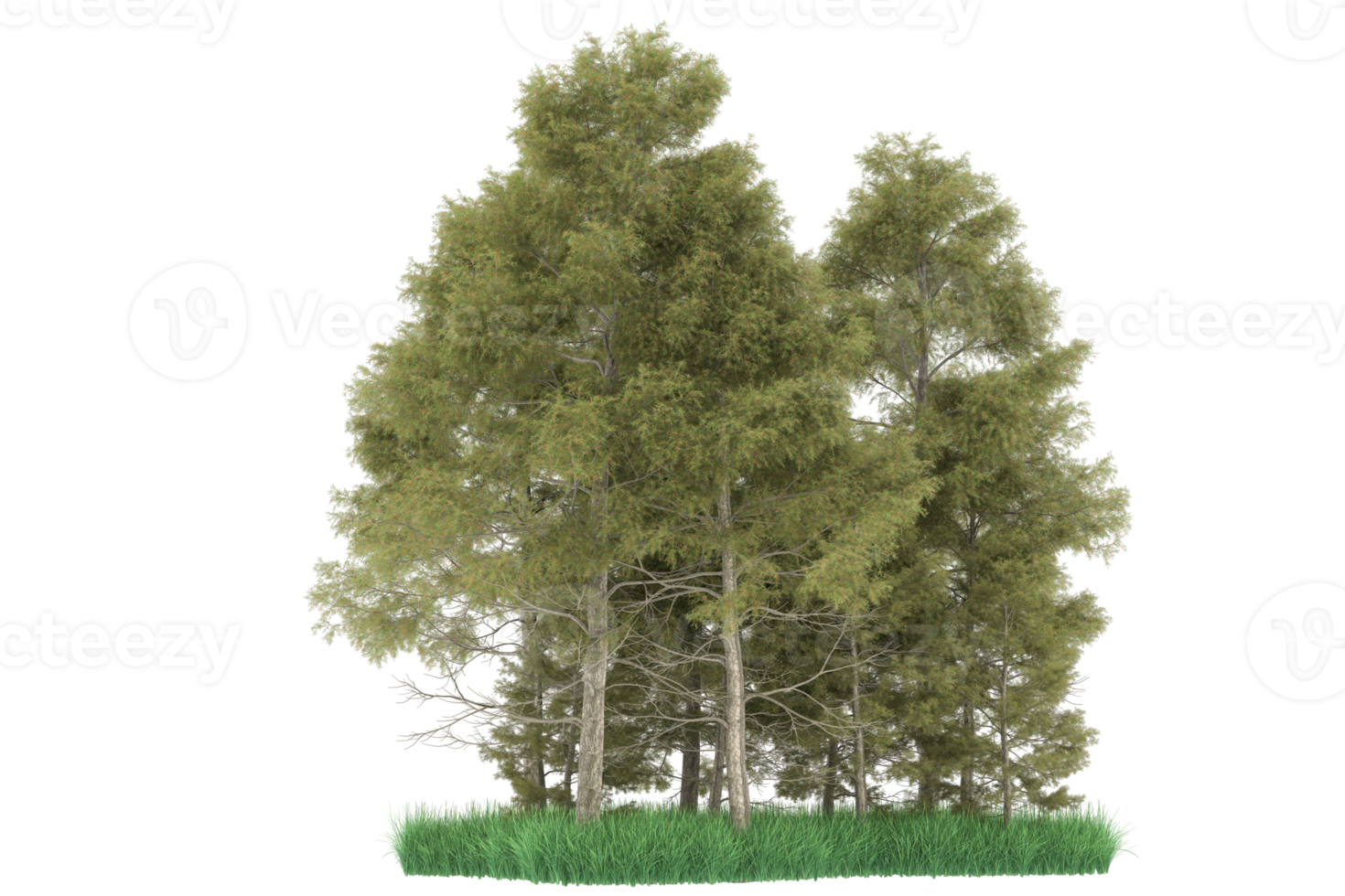 Realistic forest isolated on transparent background. 3d rendering - illustration png