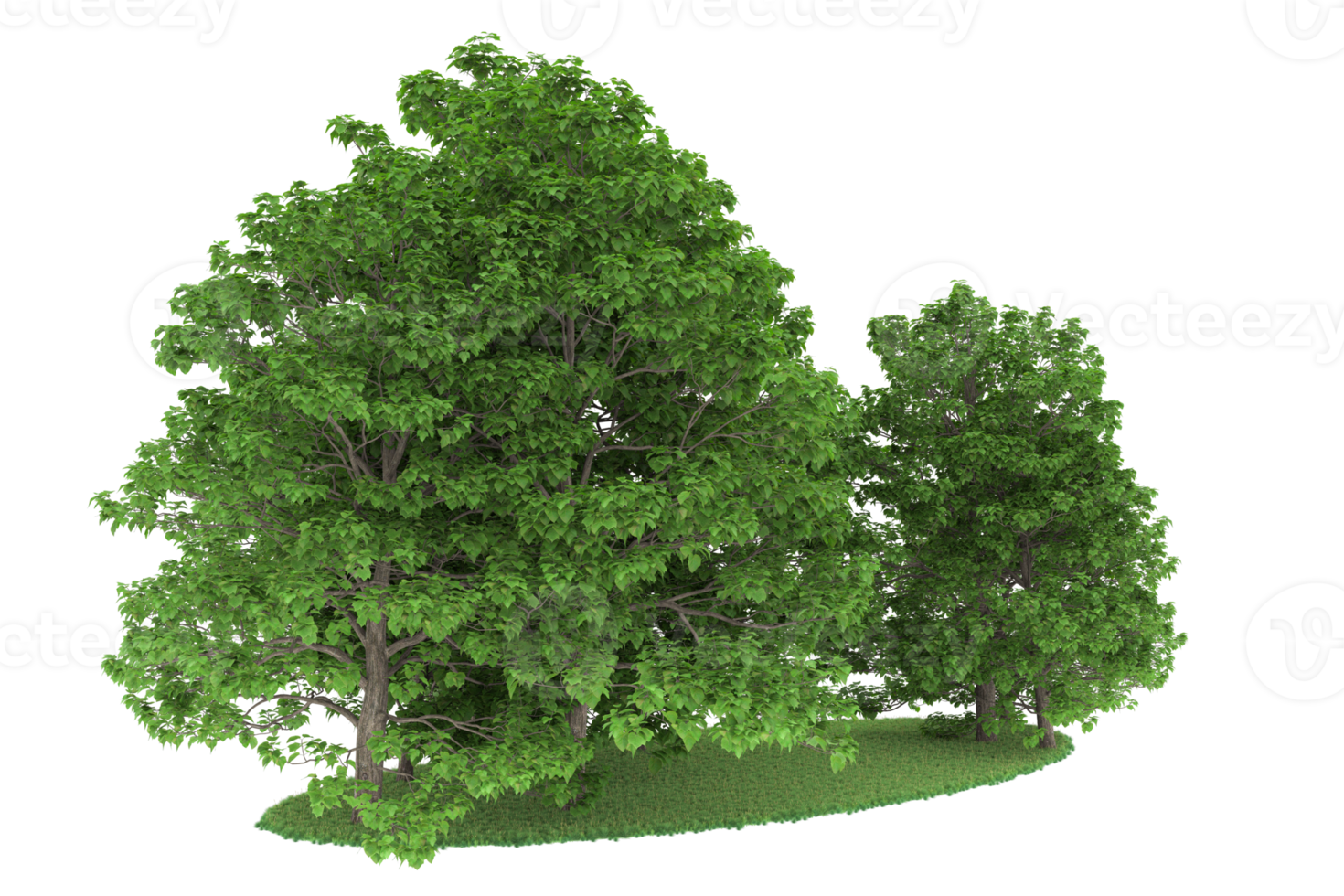 Realistic forest isolated on transparent background. 3d rendering - illustration png