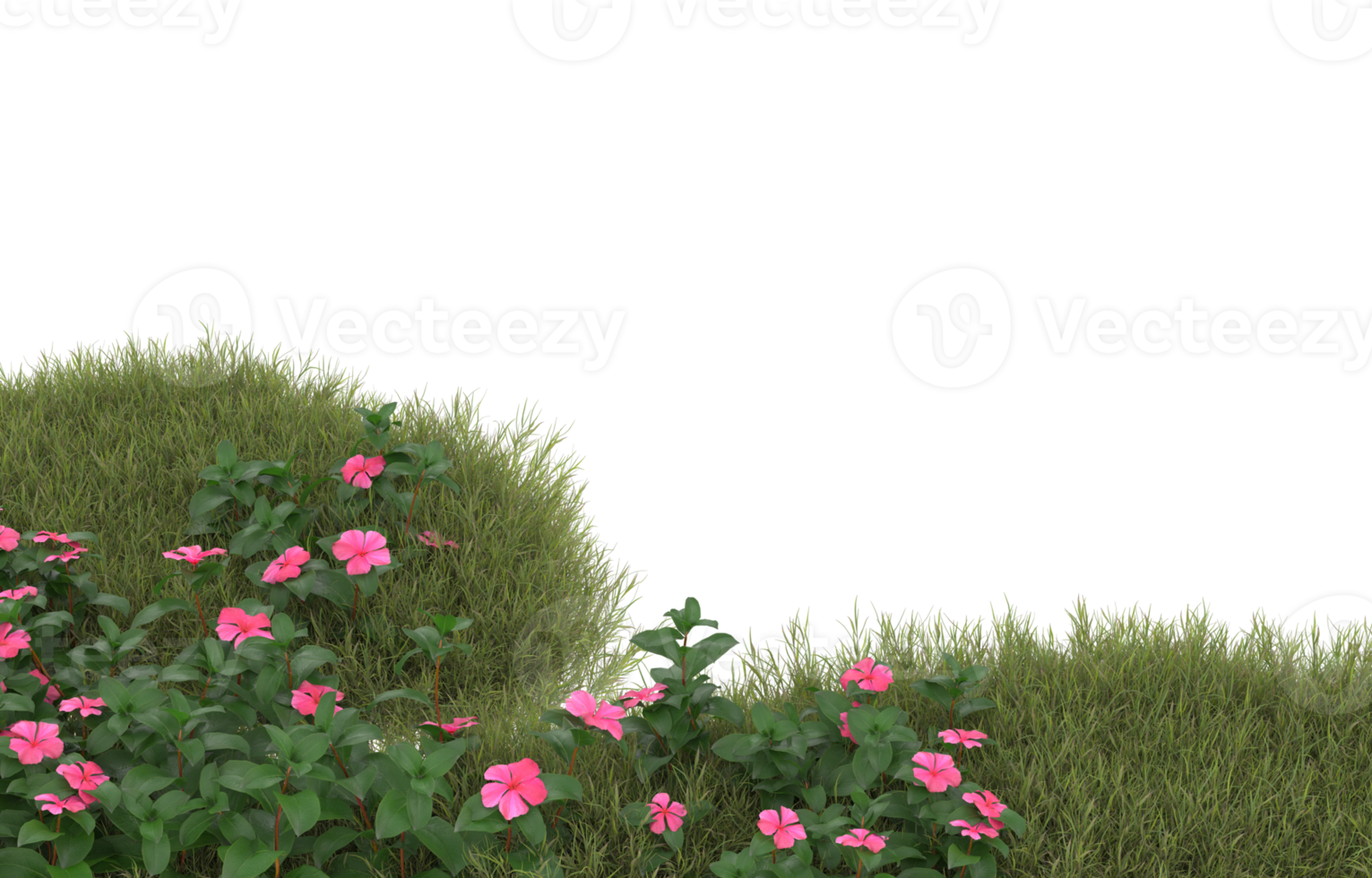 Realistic foliage isolated on transparent background. 3d rendering - illustration png