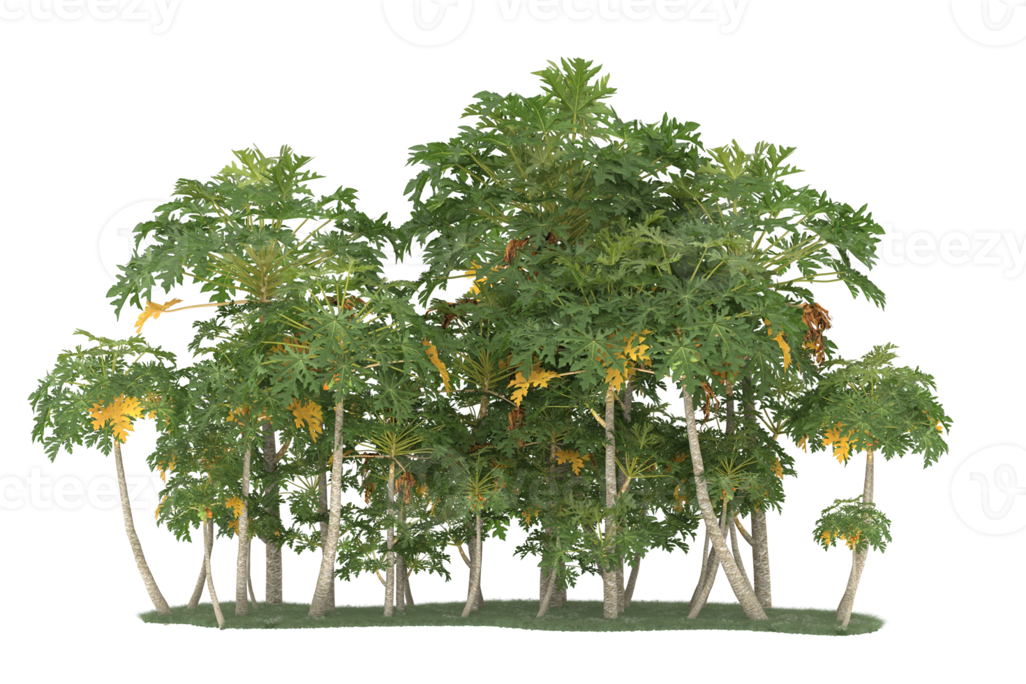 Realistic forest isolated on transparent background. 3d rendering - illustration png