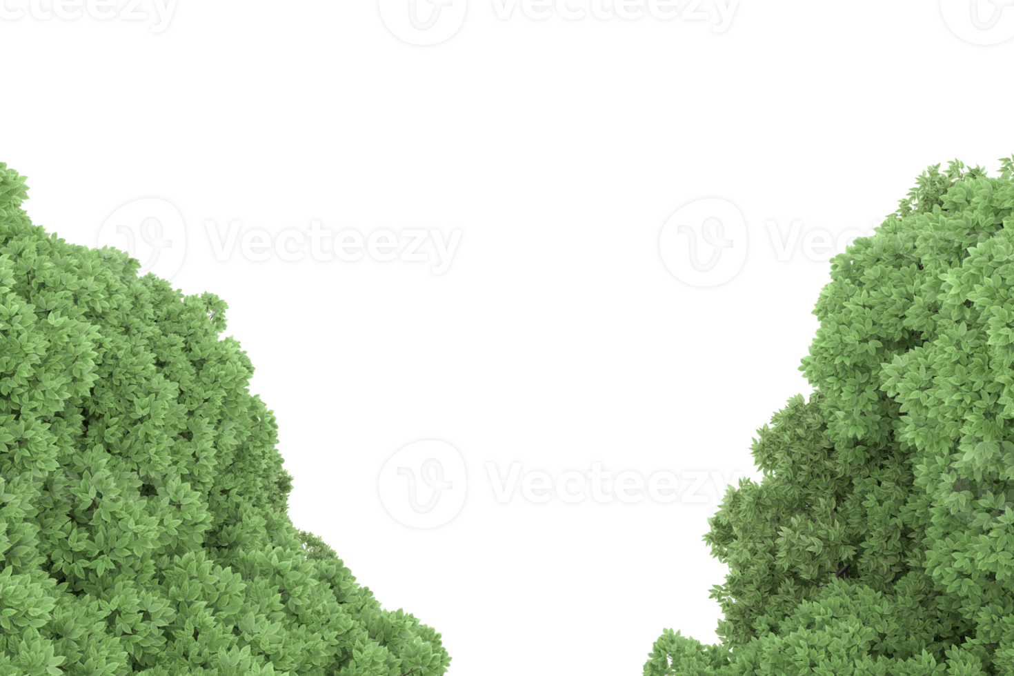 floresta realista isolada em fundo transparente. renderização 3D - ilustração png