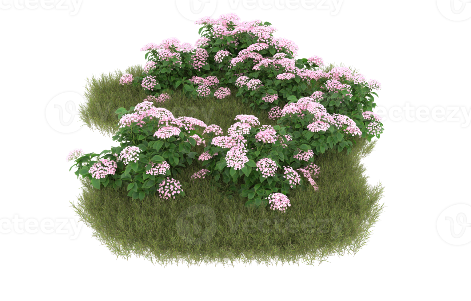 Realistic foliage isolated on transparent background. 3d rendering - illustration png
