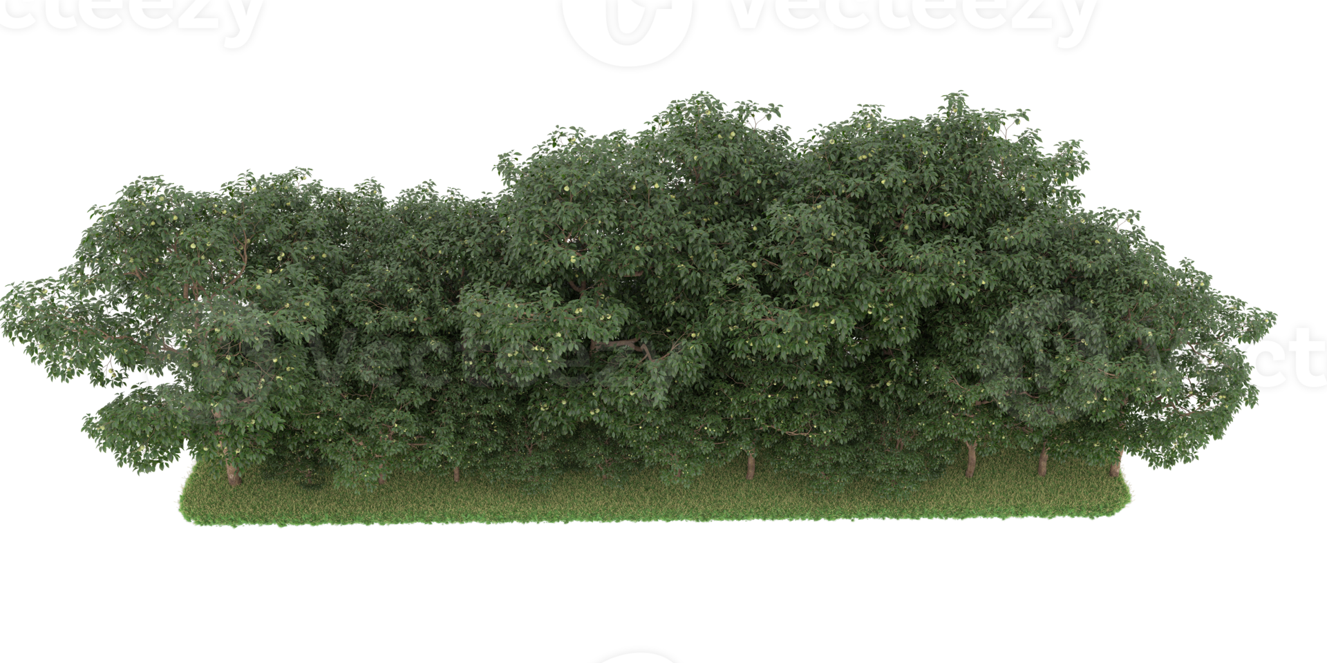 Realistic forest isolated on transparent background. 3d rendering - illustration png