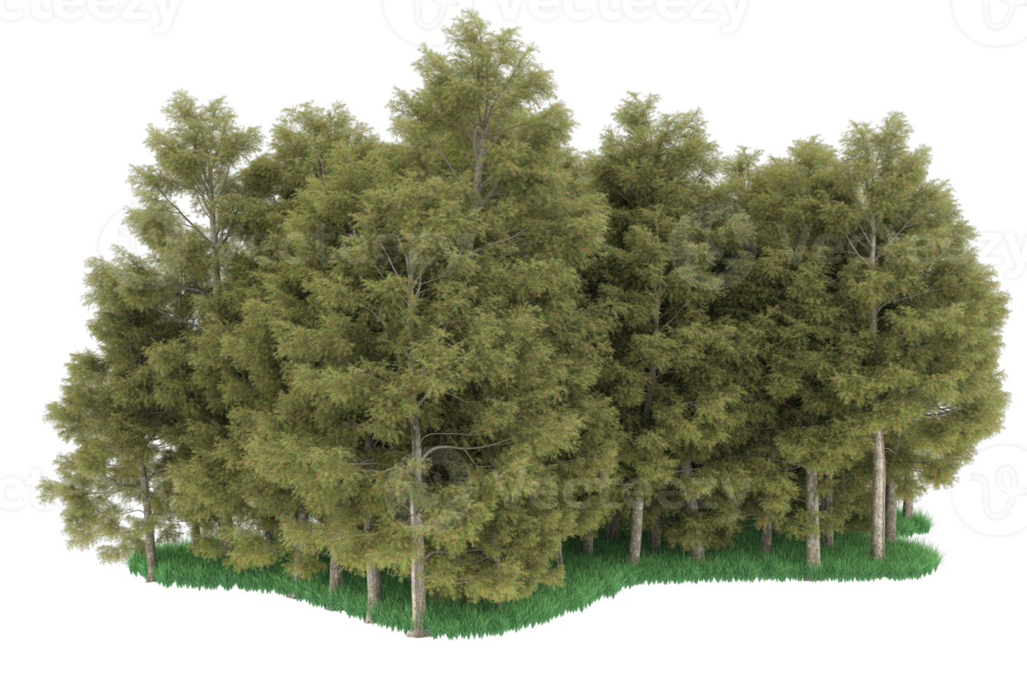 Realistic forest isolated on transparent background. 3d rendering - illustration png
