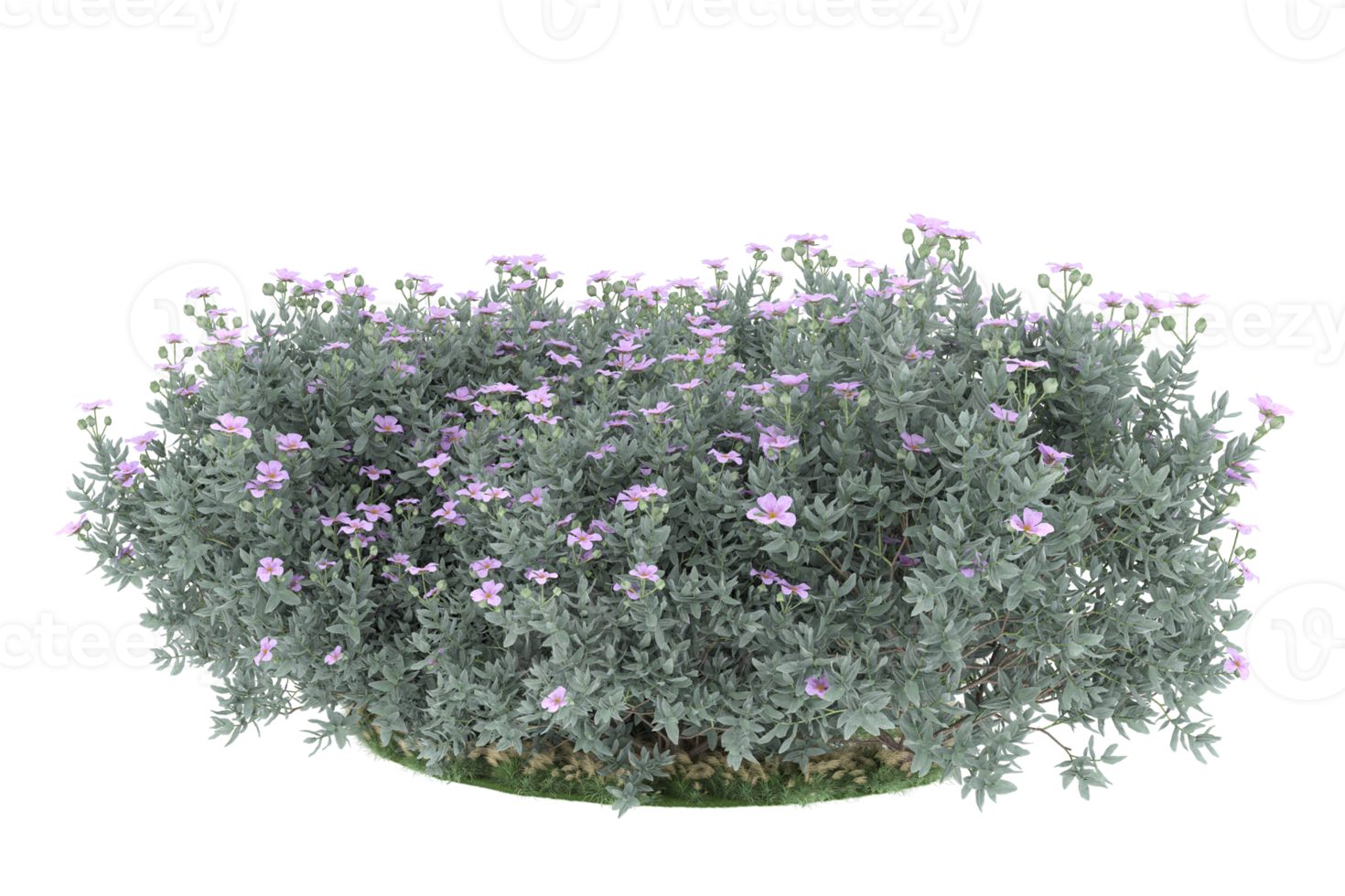 Realistic forest isolated on transparent background. 3d rendering - illustration png