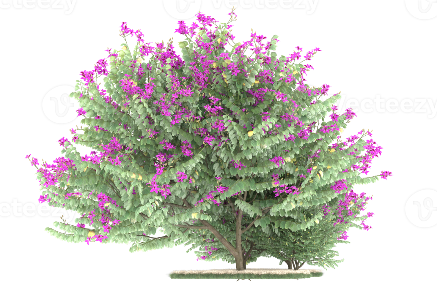 Realistic forest isolated on transparent background. 3d rendering - illustration png