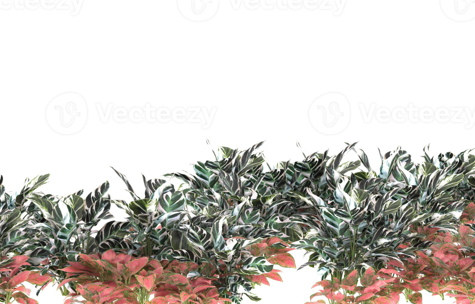 Realistic foliage isolated on transparent background. 3d rendering - illustration png