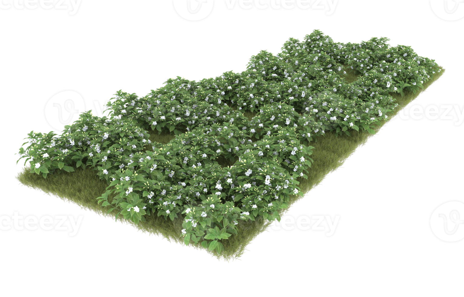 Realistic foliage isolated on transparent background. 3d rendering - illustration png
