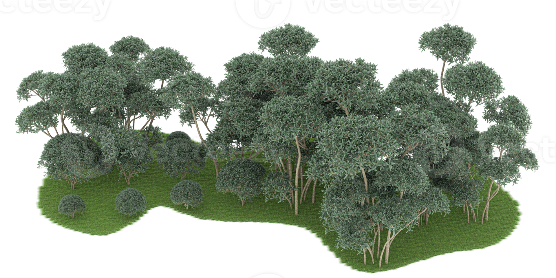 Realistic forest isolated on transparent background. 3d rendering - illustration png