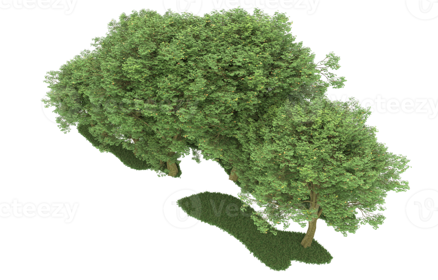 Realistic forest isolated on transparent background. 3d rendering - illustration png