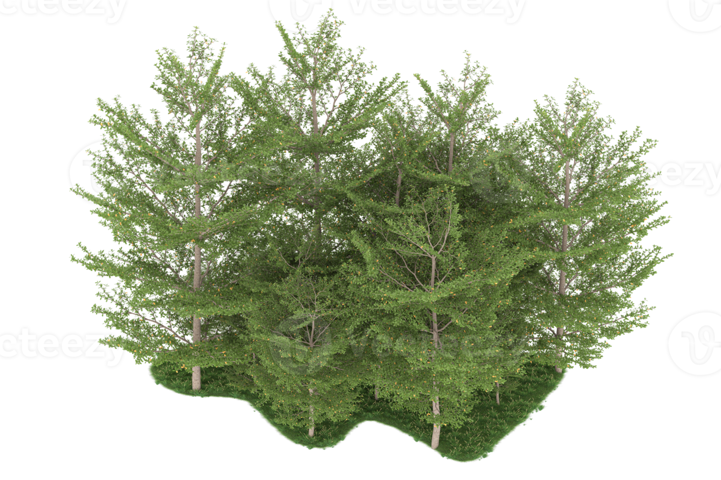 Realistic forest isolated on transparent background. 3d rendering - illustration png