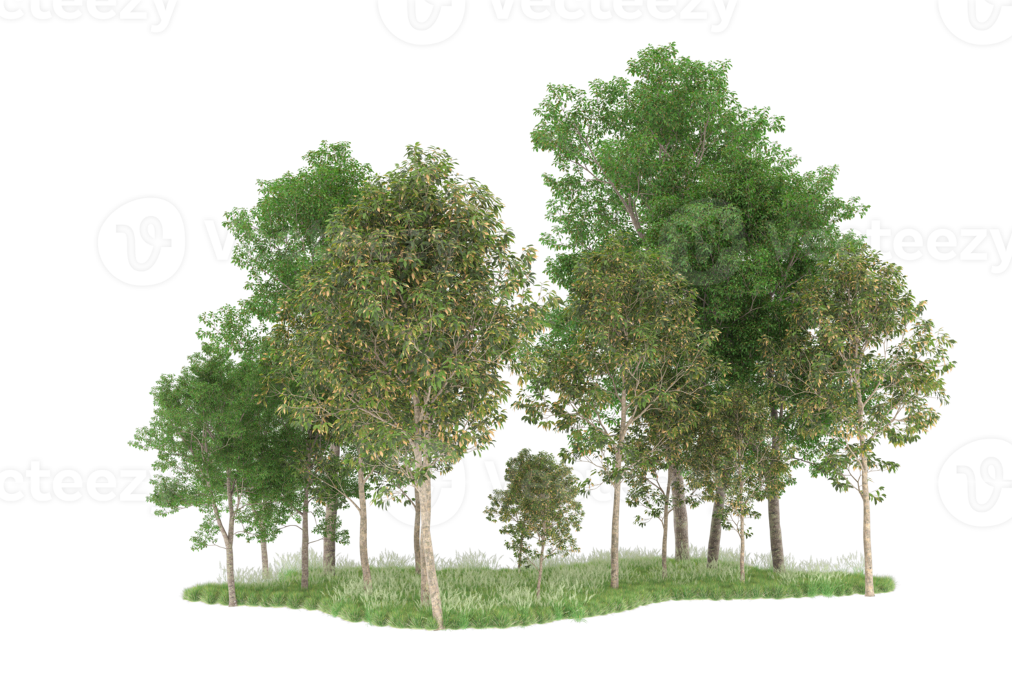 Realistic forest isolated on transparent background. 3d rendering - illustration png