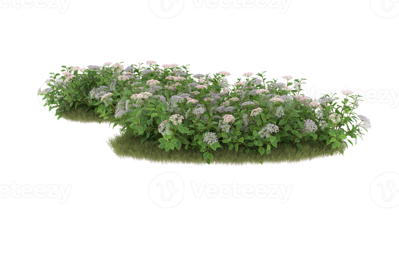 Realistic foliage isolated on transparent background. 3d rendering - illustration png