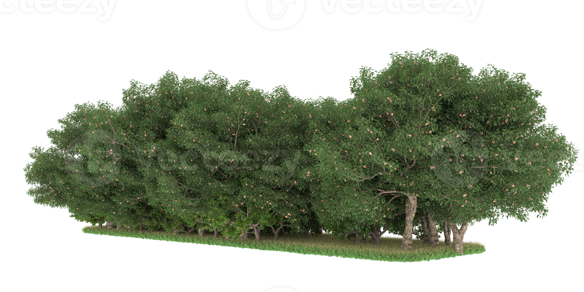 Realistic forest isolated on transparent background. 3d rendering - illustration png