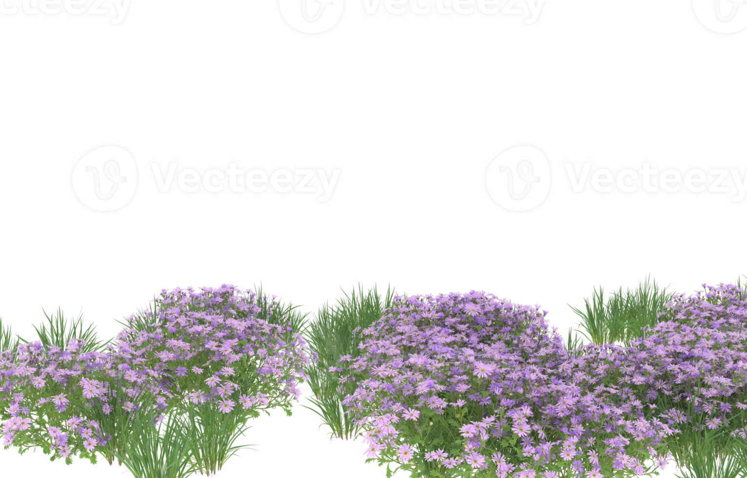 Realistic foliage isolated on transparent background. 3d rendering - illustration png