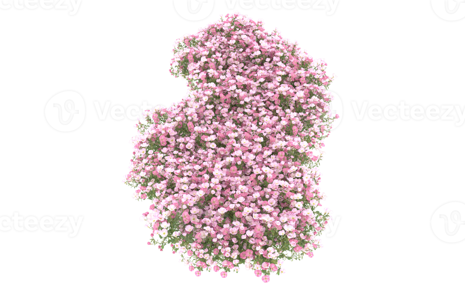 Realistic foliage isolated on transparent background. 3d rendering - illustration png